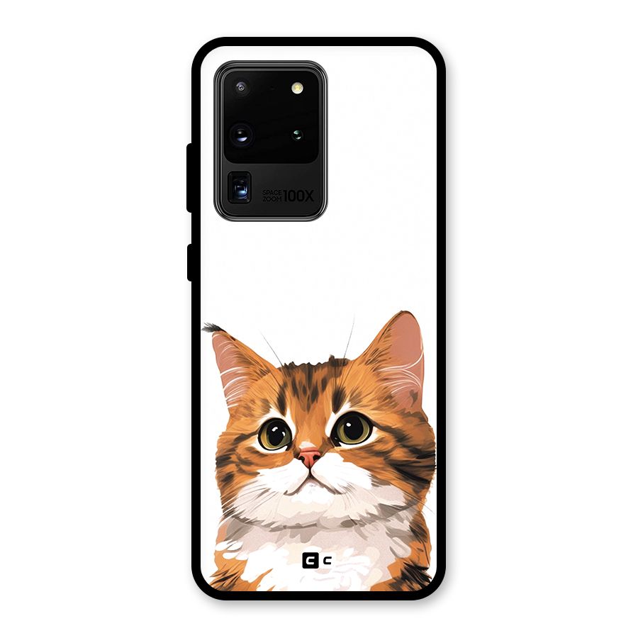 The Cute Cat Glass Back Case for Galaxy S20 Ultra