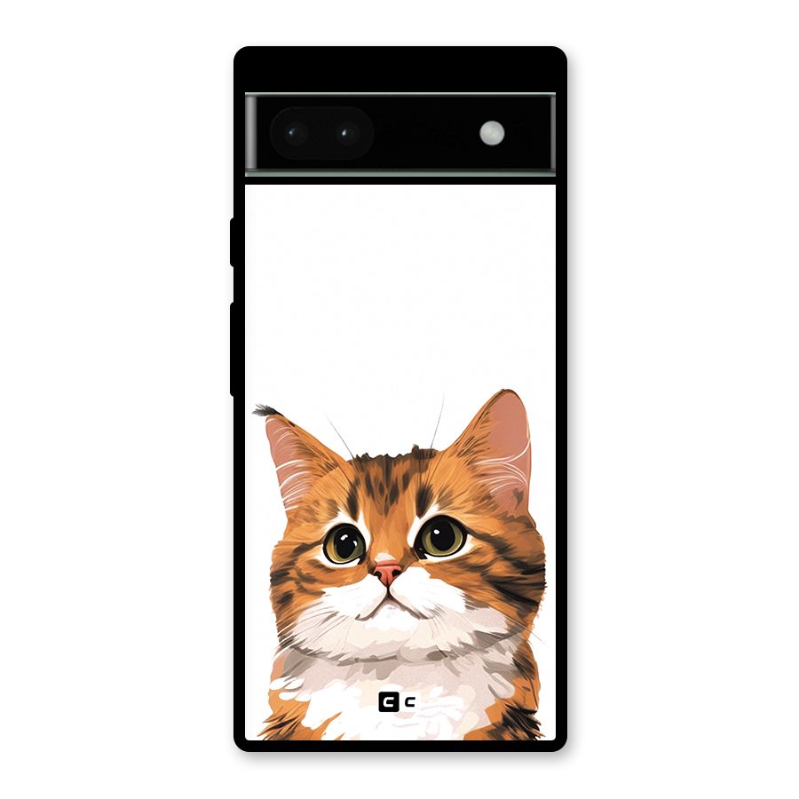 The Cute Cat Glass Back Case for Google Pixel 6a