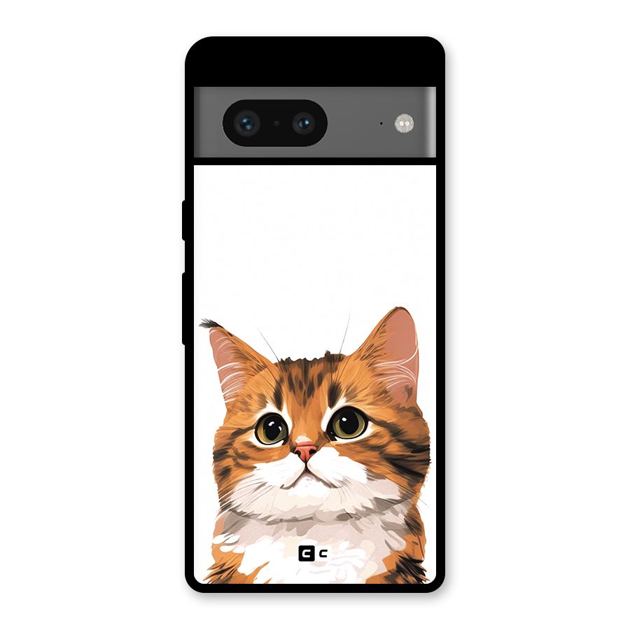 The Cute Cat Glass Back Case for Google Pixel 7