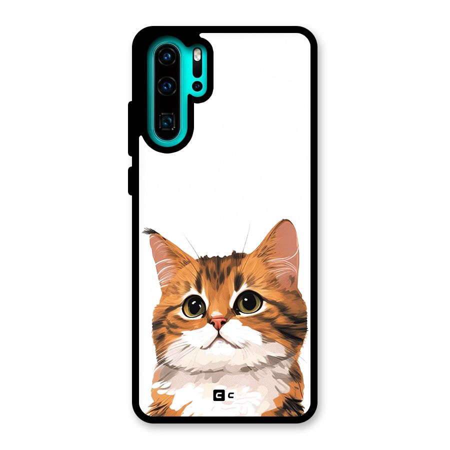The Cute Cat Glass Back Case for Huawei P30 Pro