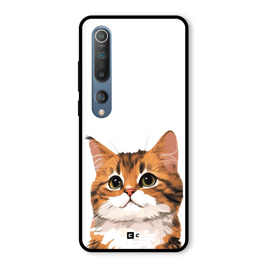 The Cute Cat Glass Back Case for Mi 10