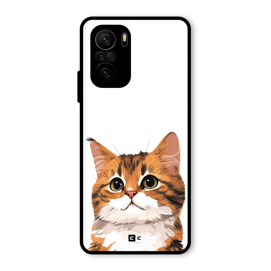 The Cute Cat Glass Back Case for Mi 11X Pro