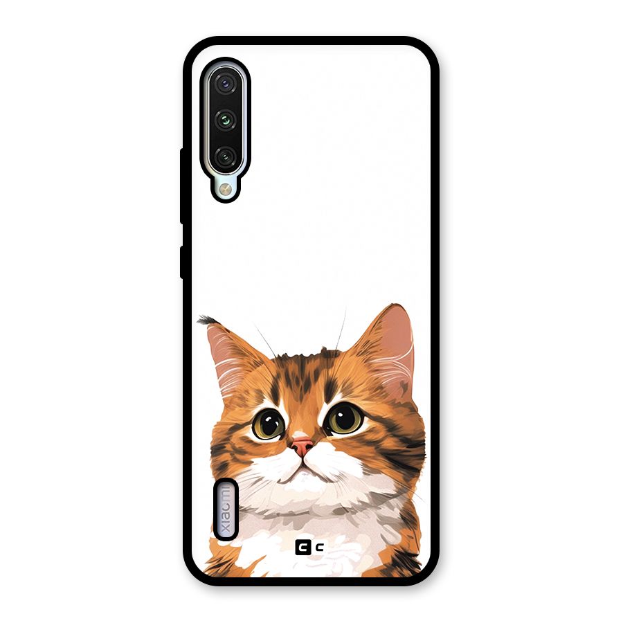 The Cute Cat Glass Back Case for Mi A3
