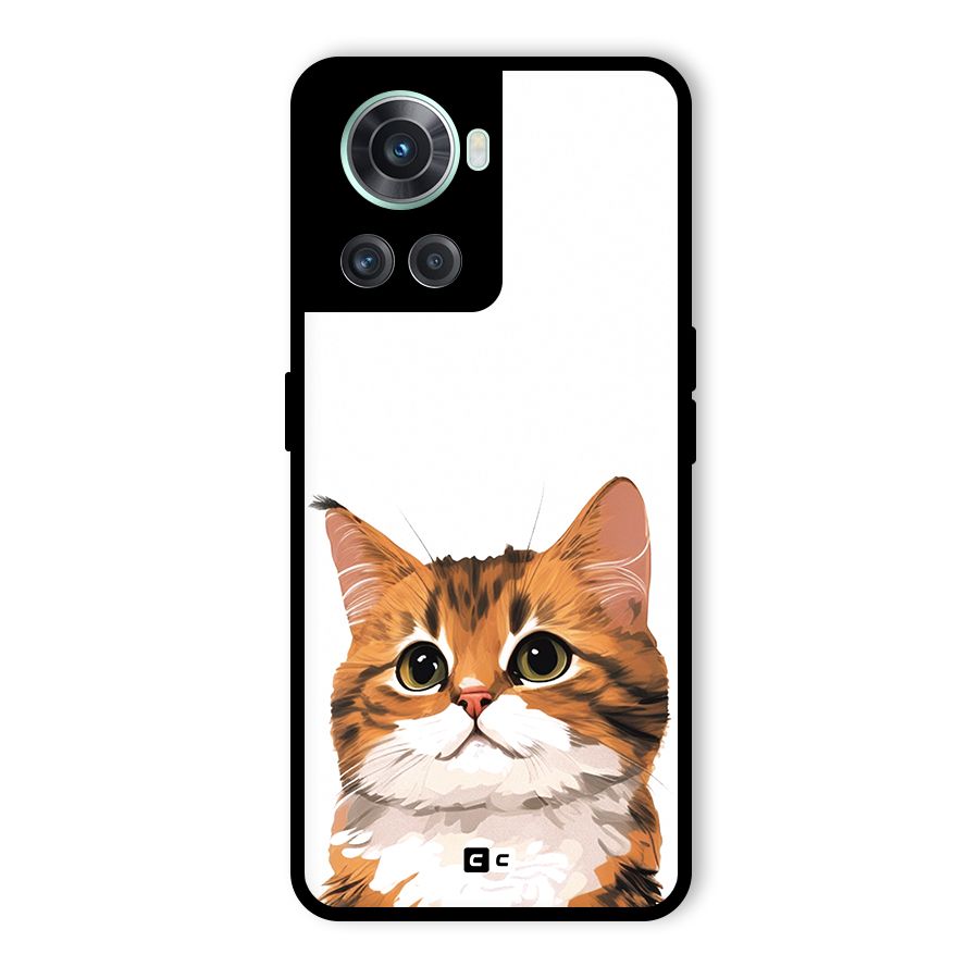 The Cute Cat Glass Back Case for OnePlus 10R