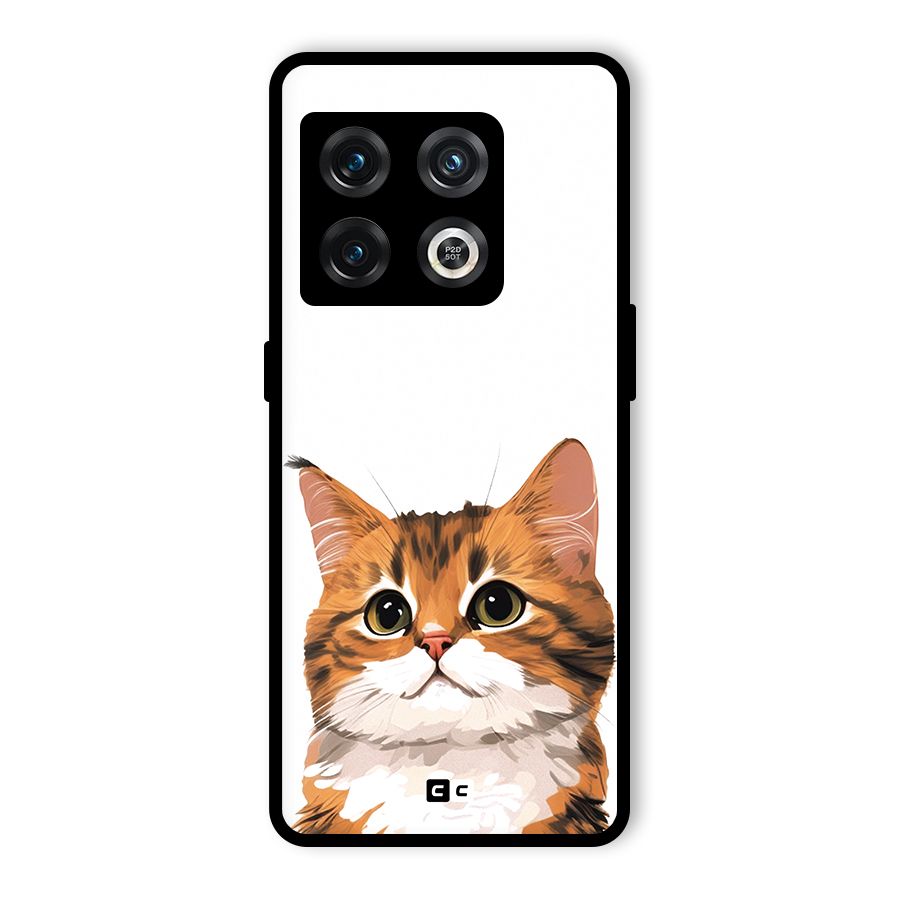 The Cute Cat Glass Back Case for OnePlus 10 Pro 5G