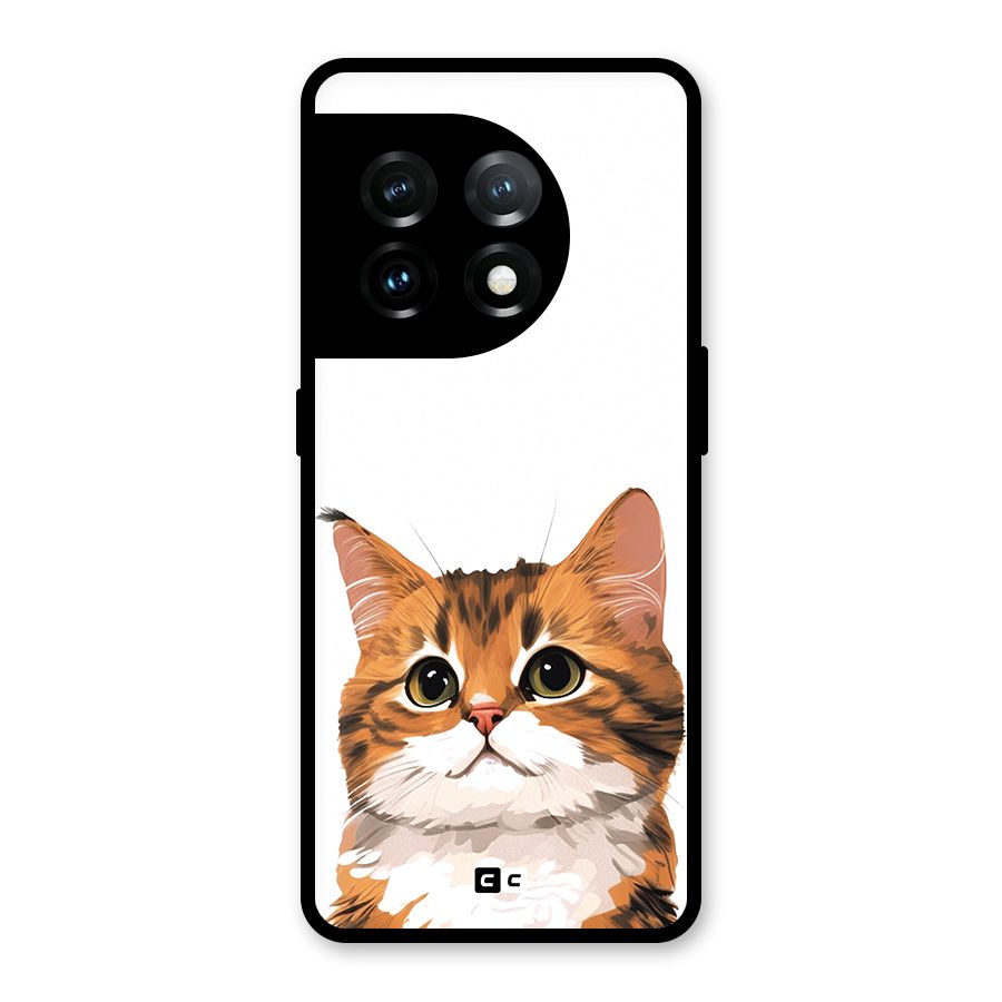 The Cute Cat Glass Back Case for OnePlus 11