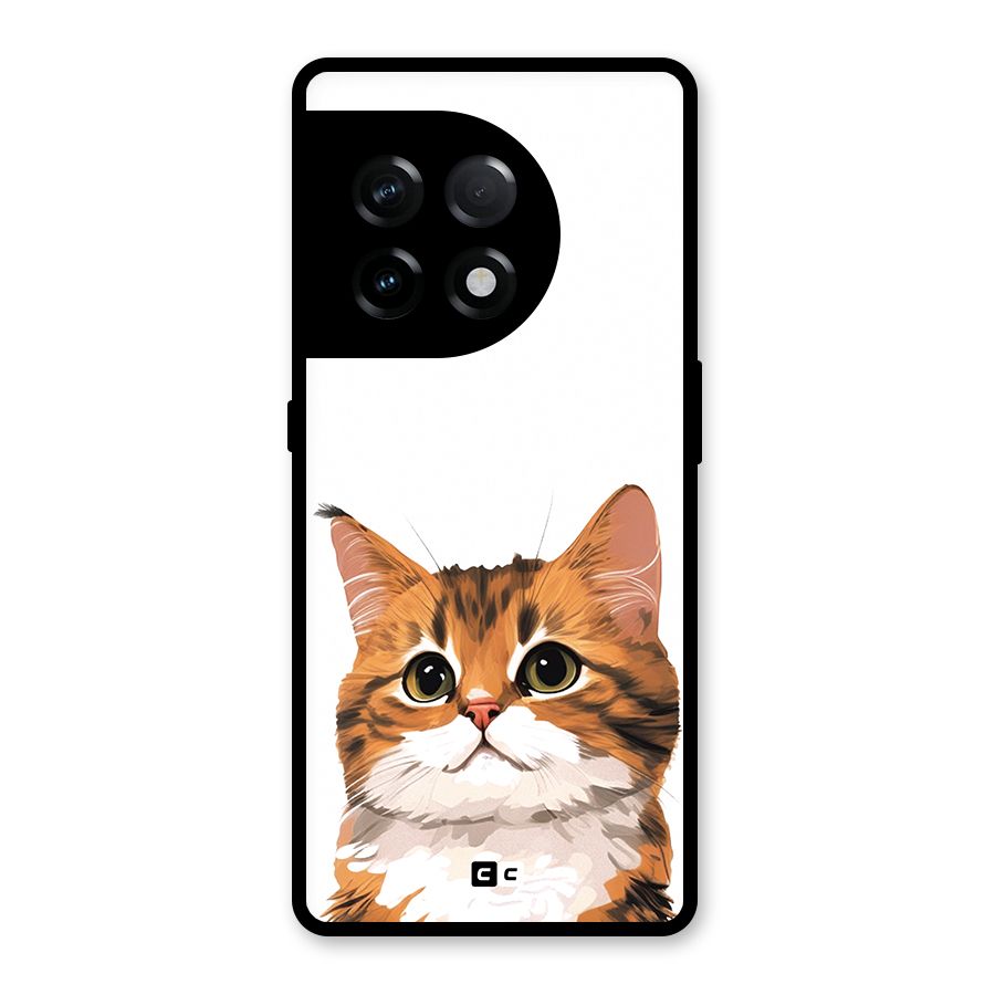The Cute Cat Glass Back Case for OnePlus 11R