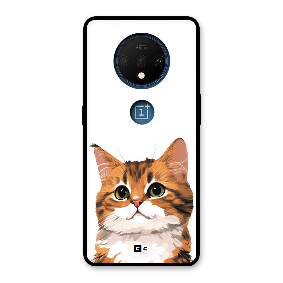 The Cute Cat Glass Back Case for OnePlus 7T
