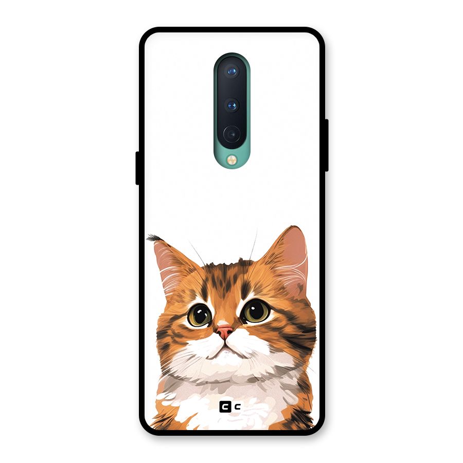 The Cute Cat Glass Back Case for OnePlus 8