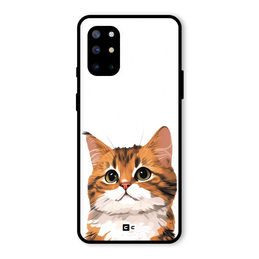 The Cute Cat Glass Back Case for OnePlus 8T