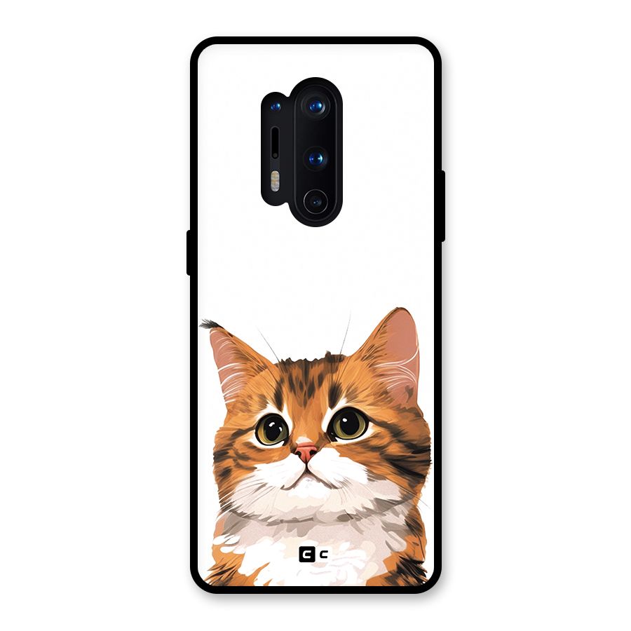 The Cute Cat Glass Back Case for OnePlus 8 Pro