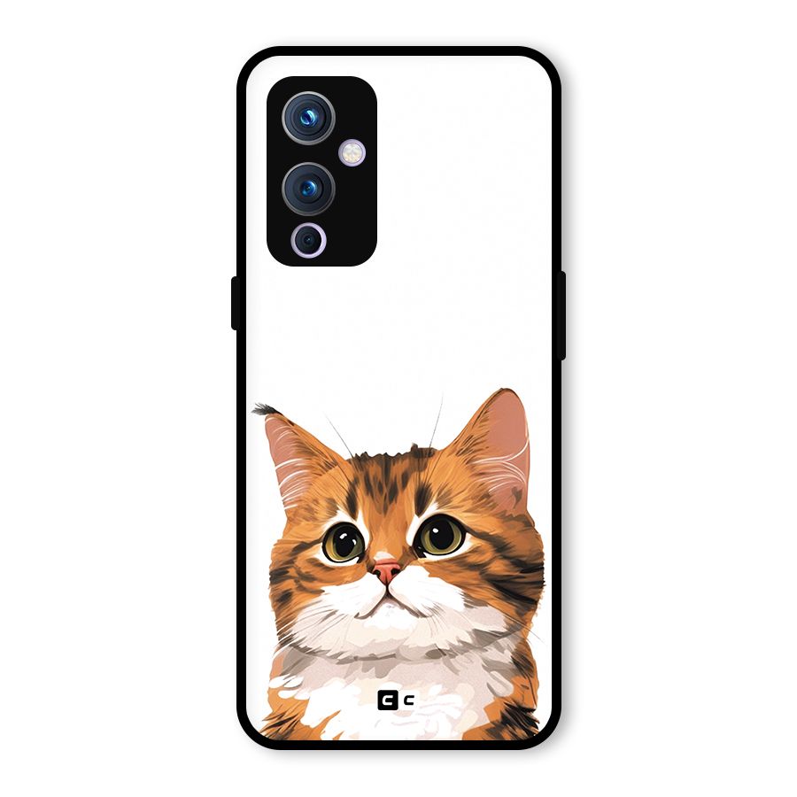 The Cute Cat Glass Back Case for OnePlus 9