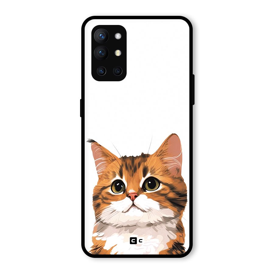 The Cute Cat Glass Back Case for OnePlus 9R