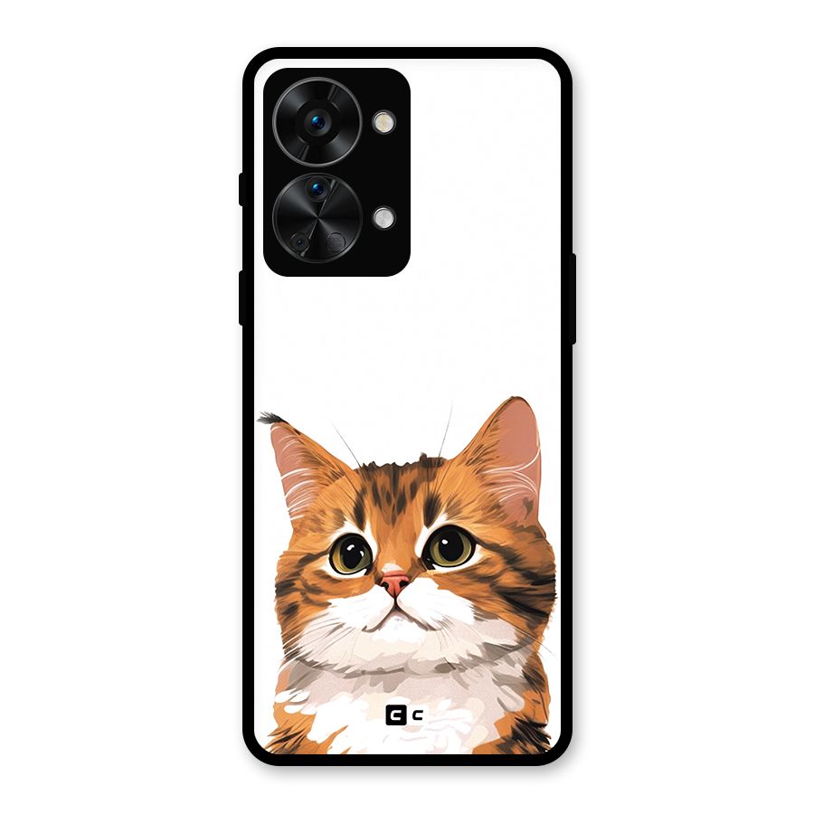The Cute Cat Glass Back Case for OnePlus Nord 2T