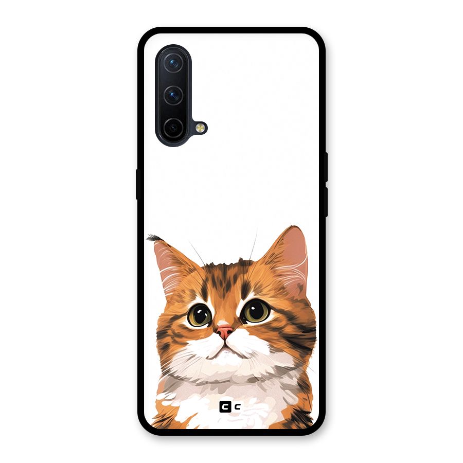 The Cute Cat Glass Back Case for OnePlus Nord CE 5G