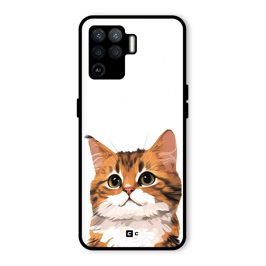 The Cute Cat Glass Back Case for Oppo F19 Pro