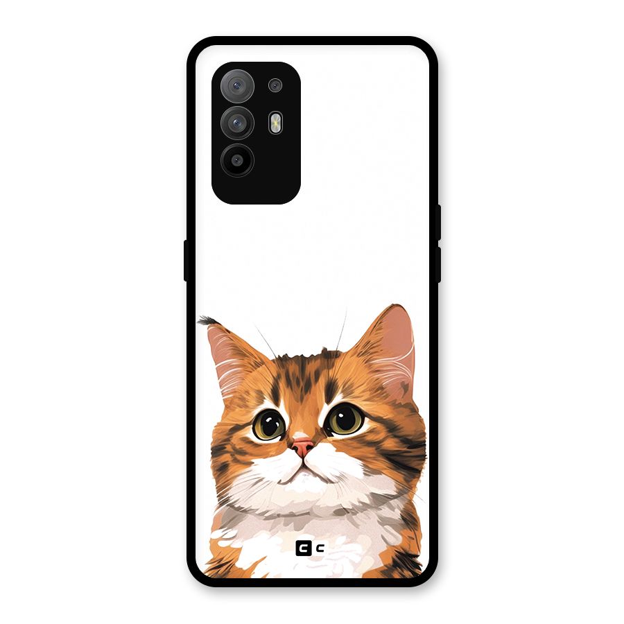 The Cute Cat Glass Back Case for Oppo F19 Pro Plus 5G