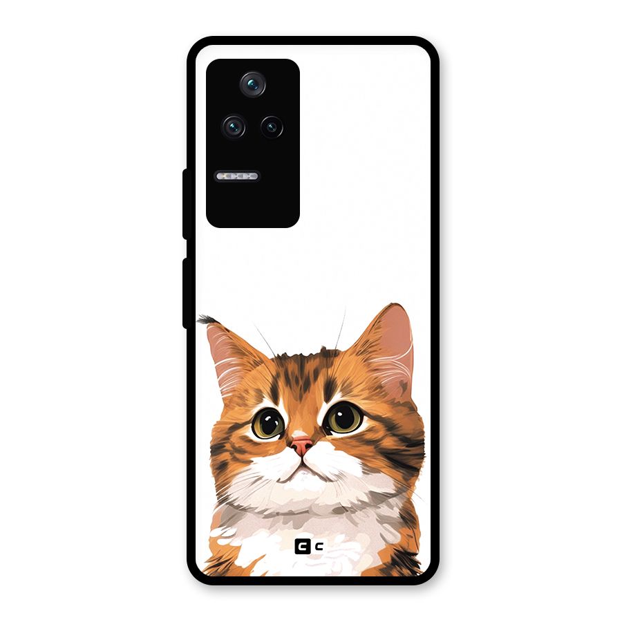 The Cute Cat Glass Back Case for Poco F4 5G