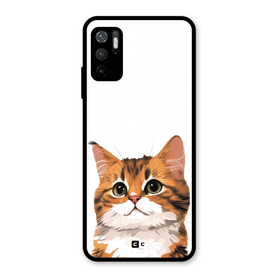 The Cute Cat Glass Back Case for Poco M3 Pro 5G