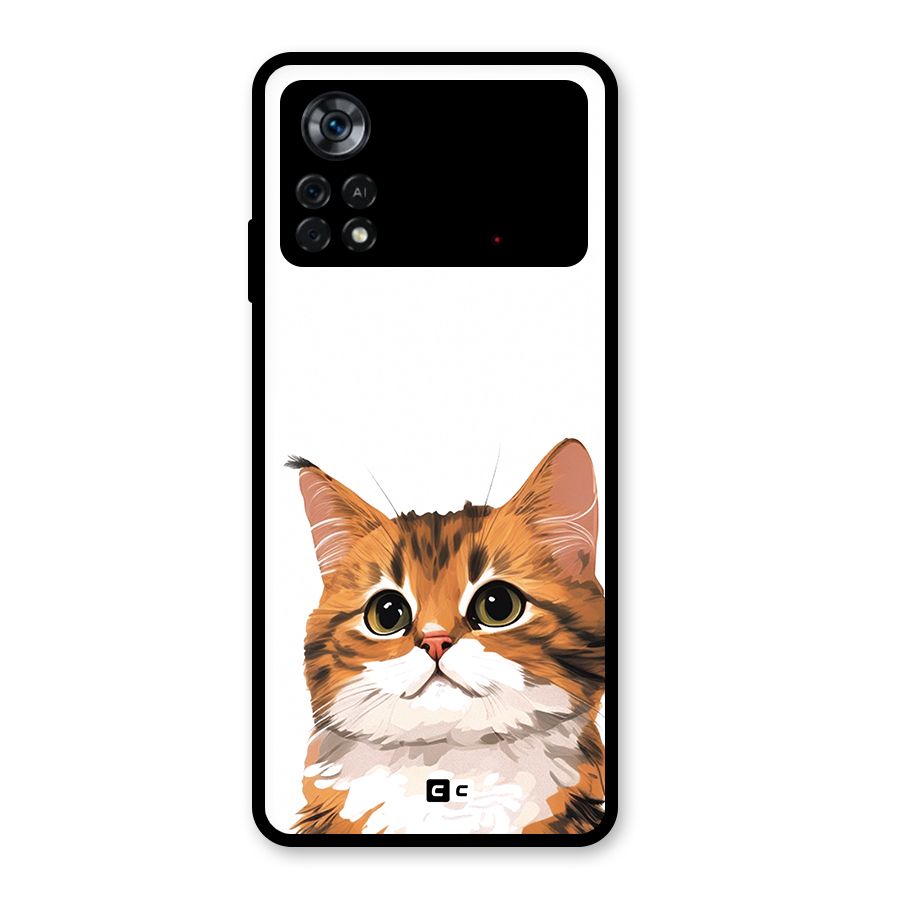 The Cute Cat Glass Back Case for Poco X4 Pro 5G