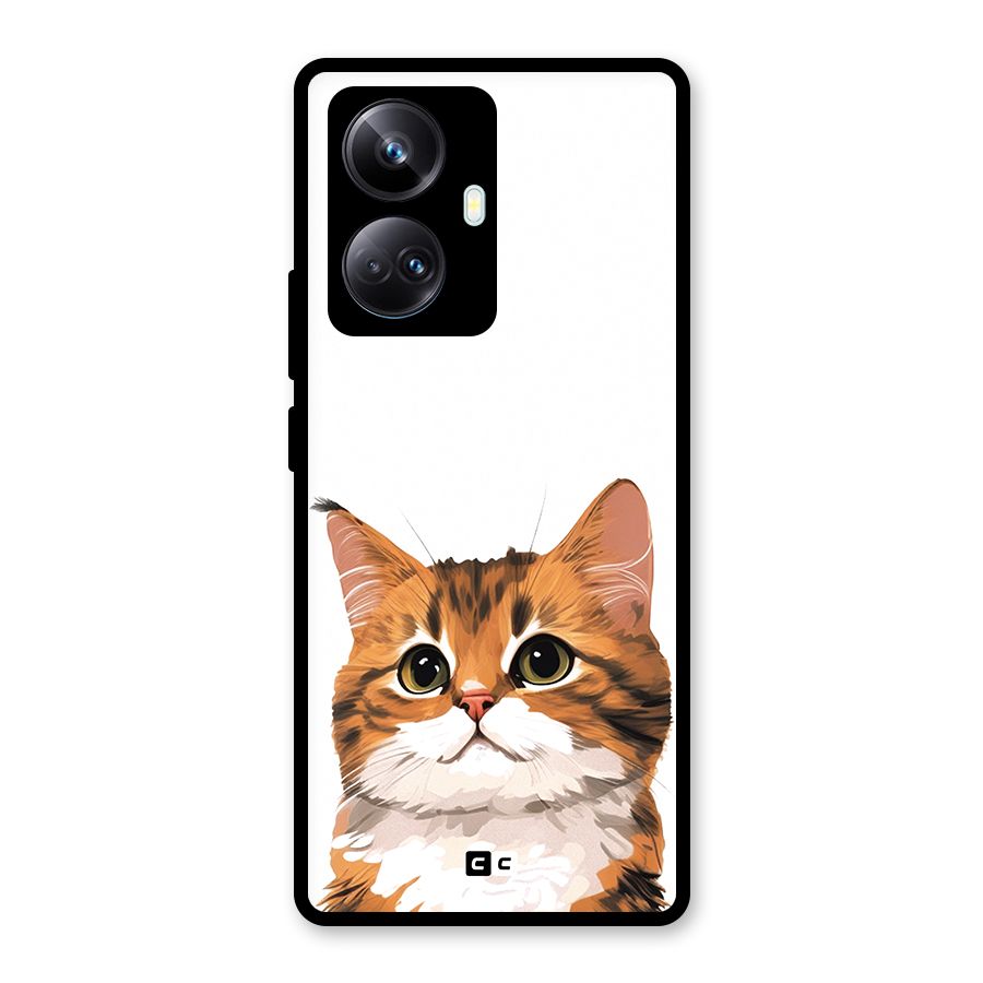 The Cute Cat Glass Back Case for Realme 10 Pro Plus