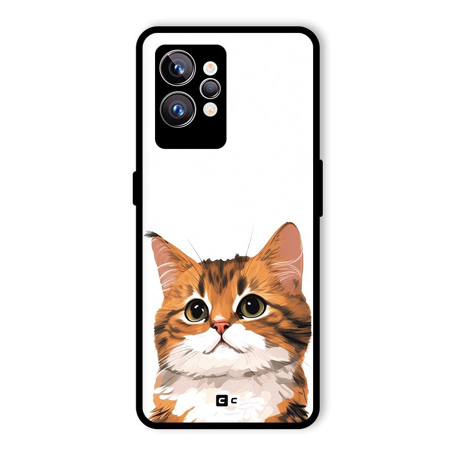 The Cute Cat Glass Back Case for Realme GT2 Pro