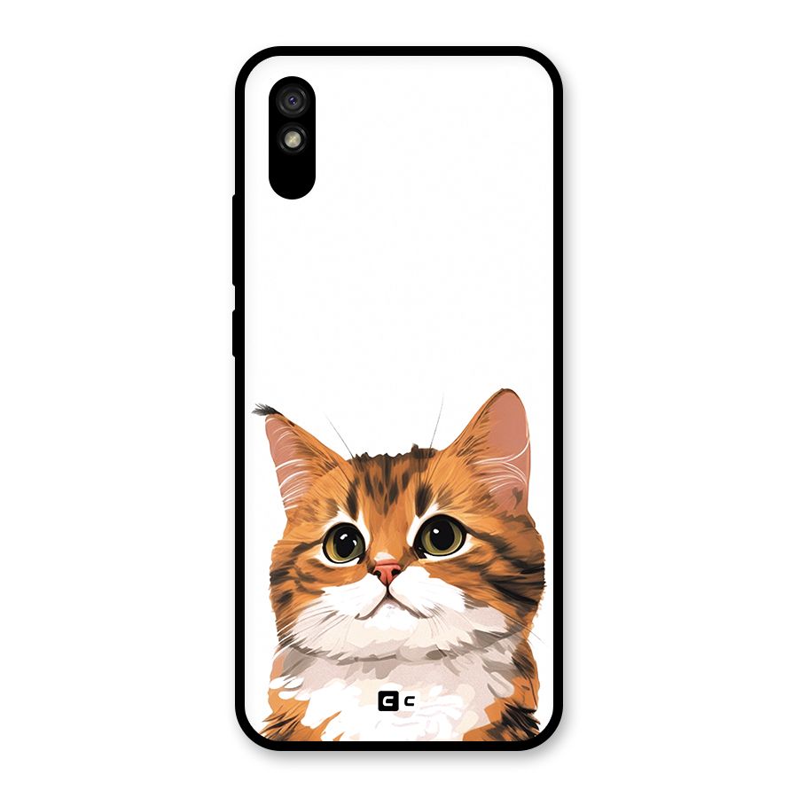 The Cute Cat Glass Back Case for Redmi 9i
