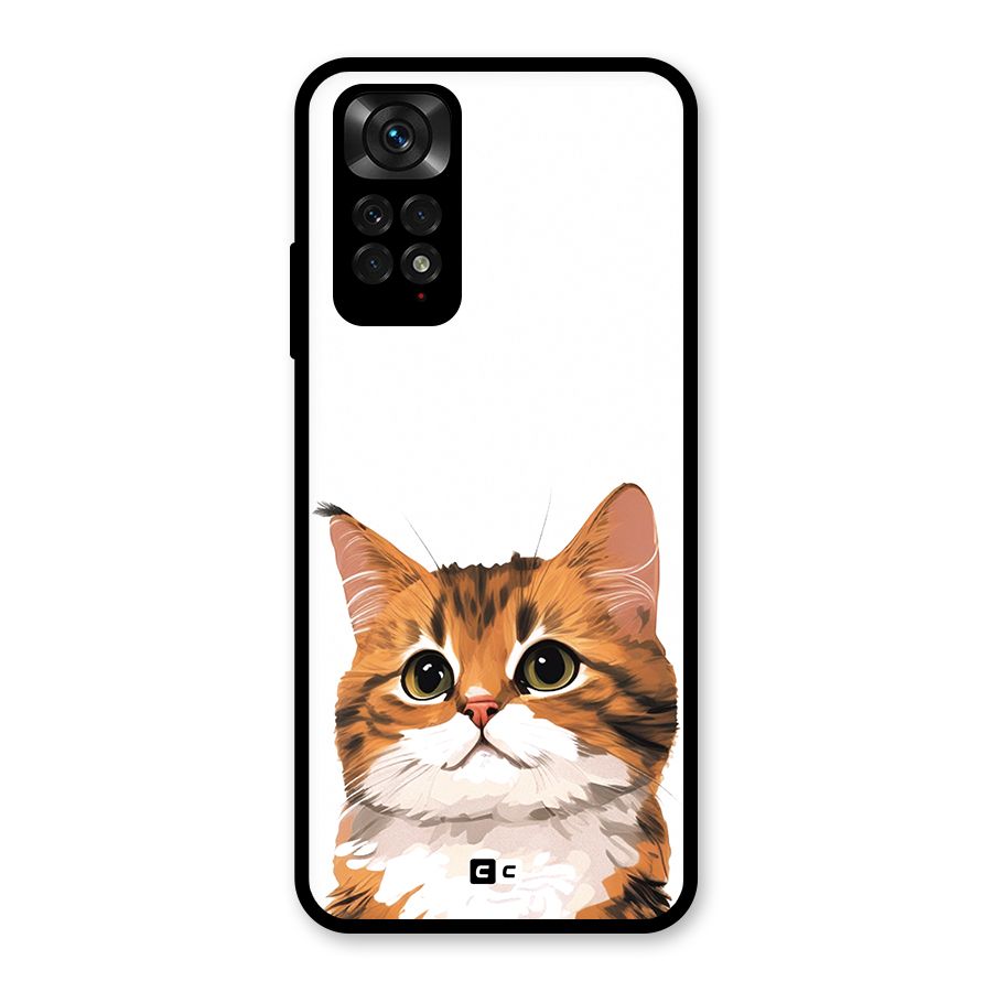 The Cute Cat Glass Back Case for Redmi Note 11S