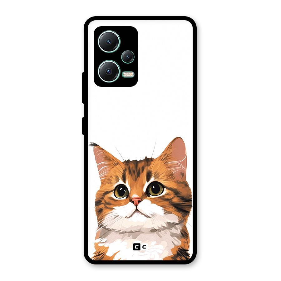 The Cute Cat Glass Back Case for Redmi Note 12 5G