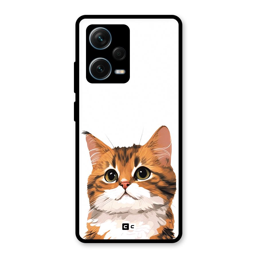 The Cute Cat Glass Back Case for Redmi Note 12 Pro Plus 5G