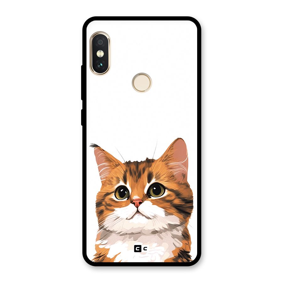 The Cute Cat Glass Back Case for Redmi Note 5 Pro