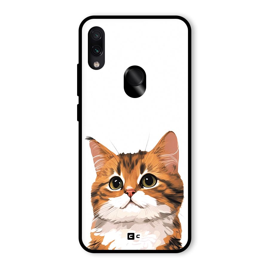 The Cute Cat Glass Back Case for Redmi Note 7 Pro