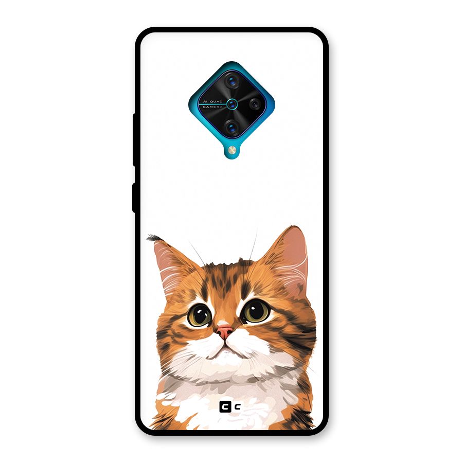 The Cute Cat Glass Back Case for Vivo S1 Pro