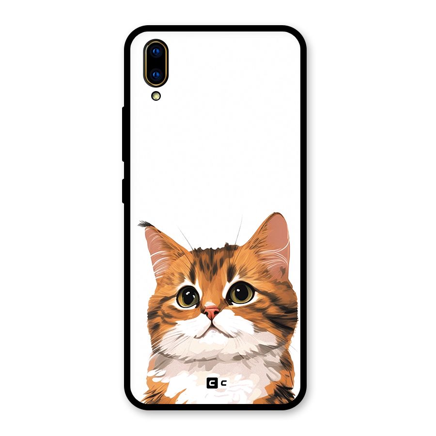 The Cute Cat Glass Back Case for Vivo V11 Pro