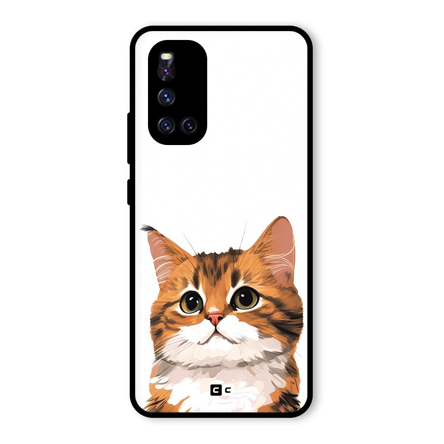 The Cute Cat Glass Back Case for Vivo V19