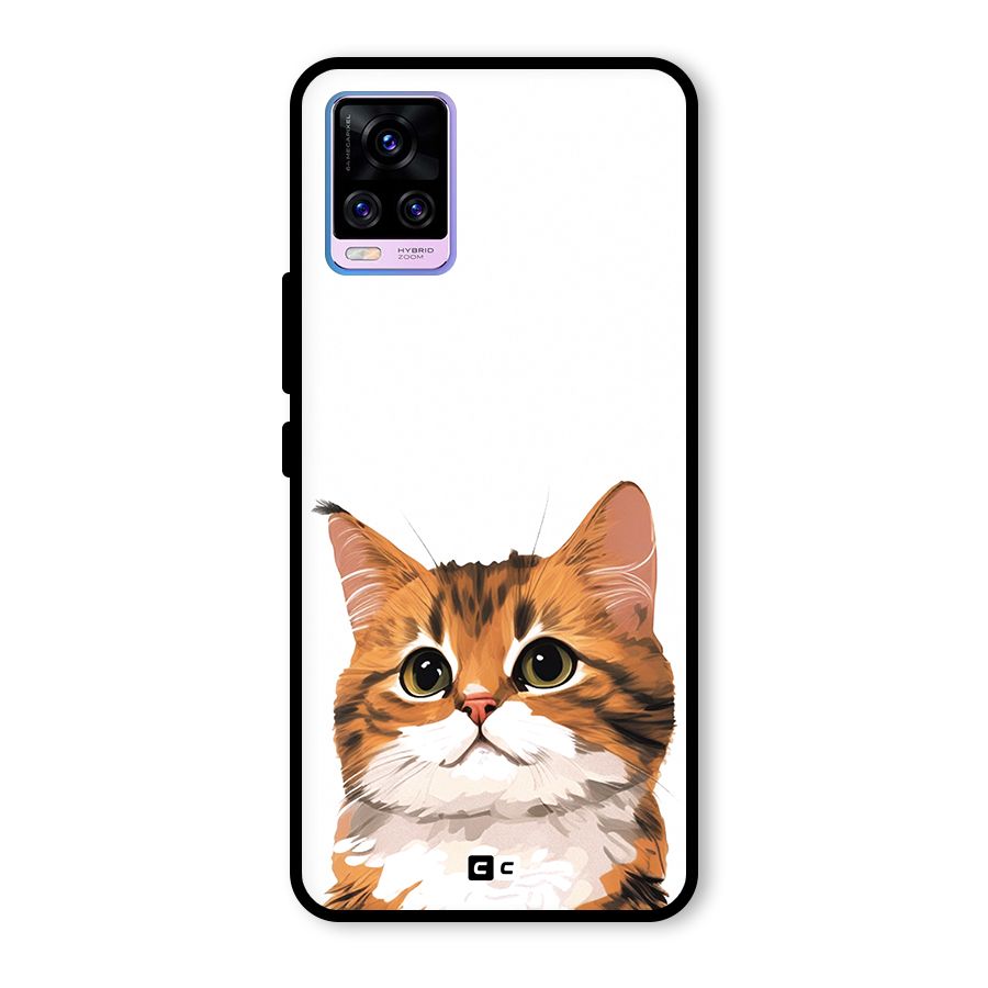 The Cute Cat Glass Back Case for Vivo V20 Pro