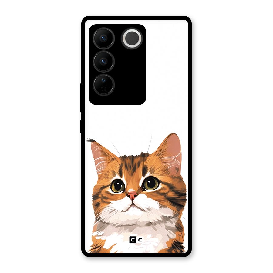 The Cute Cat Glass Back Case for Vivo V27