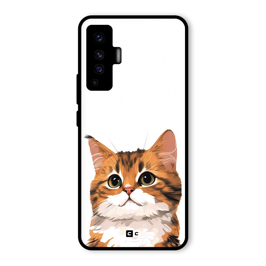 The Cute Cat Glass Back Case for Vivo X50