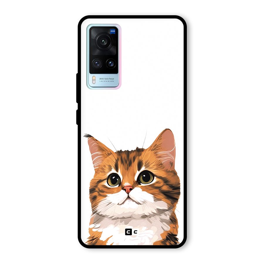 The Cute Cat Glass Back Case for Vivo X60