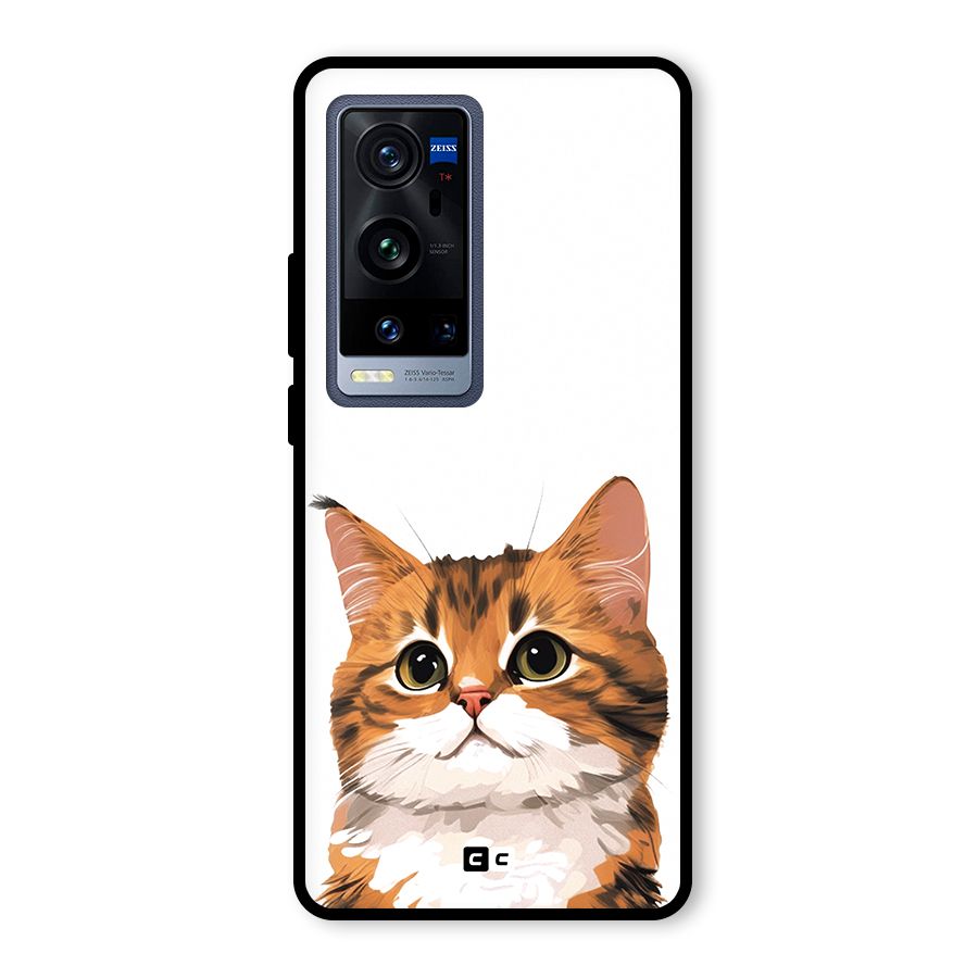 The Cute Cat Glass Back Case for Vivo X60 Pro Plus