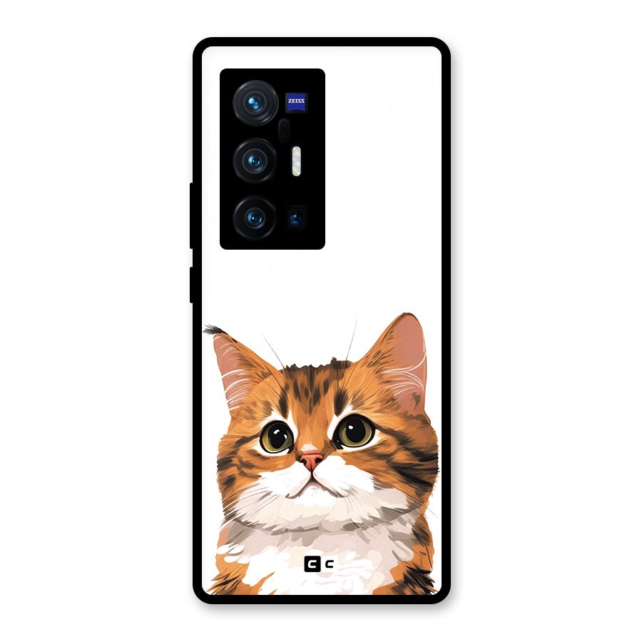 The Cute Cat Glass Back Case for Vivo X70 Pro Plus
