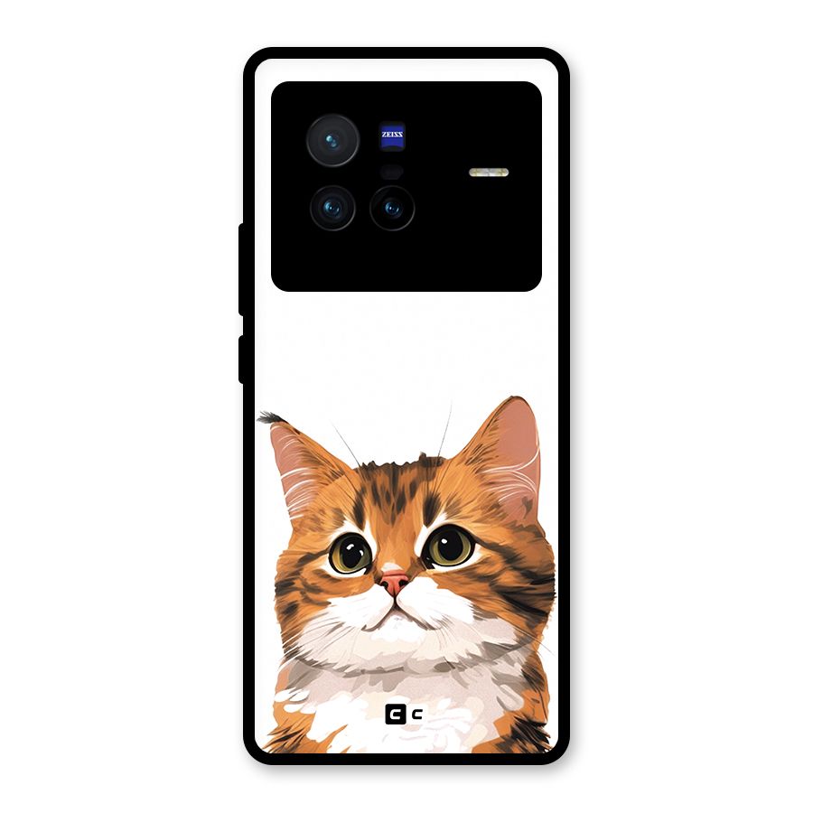 The Cute Cat Glass Back Case for Vivo X80