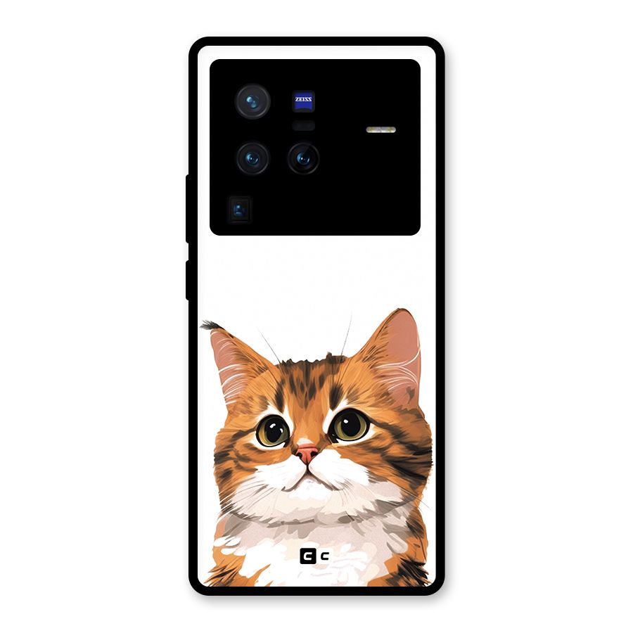 The Cute Cat Glass Back Case for Vivo X80 Pro