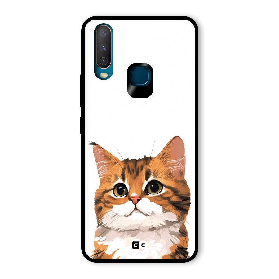 The Cute Cat Glass Back Case for Vivo Y12
