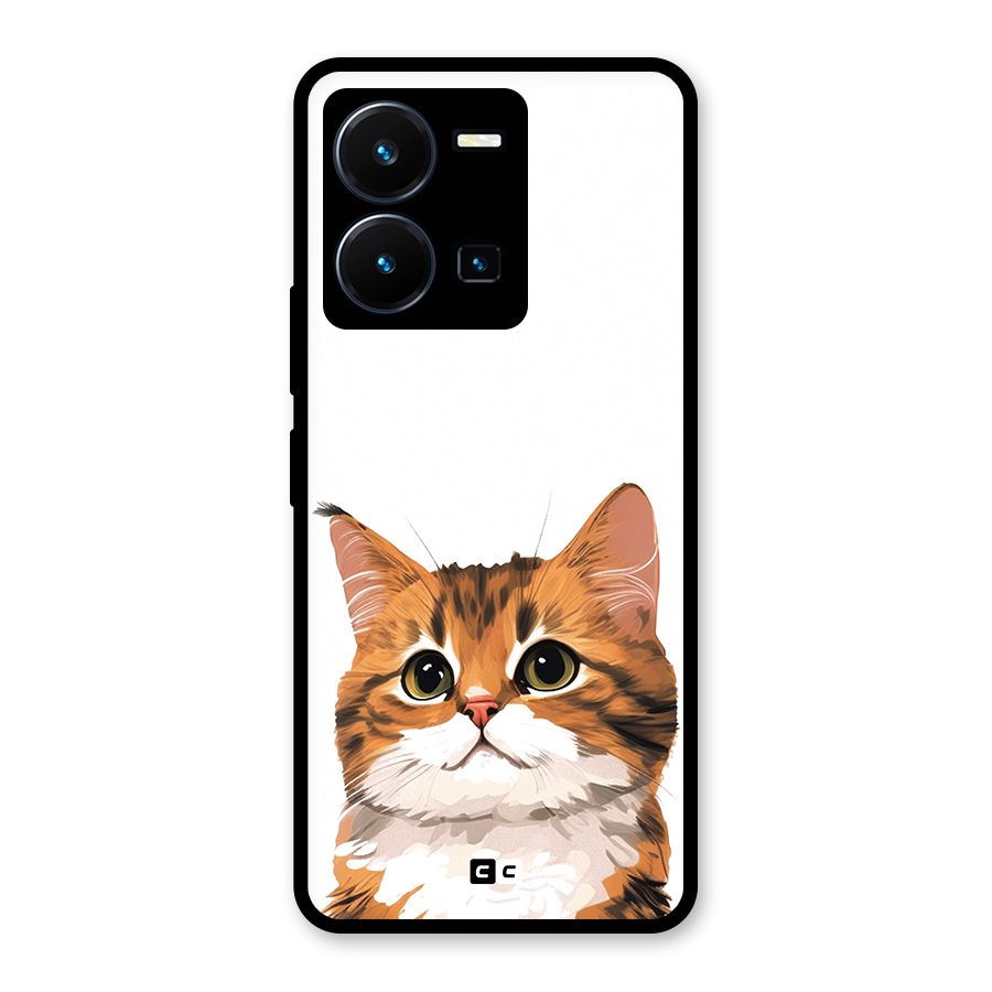 The Cute Cat Glass Back Case for Vivo Y35