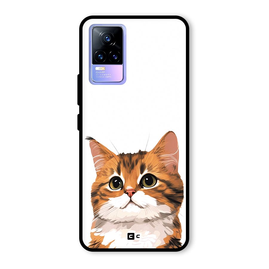 The Cute Cat Glass Back Case for Vivo Y73