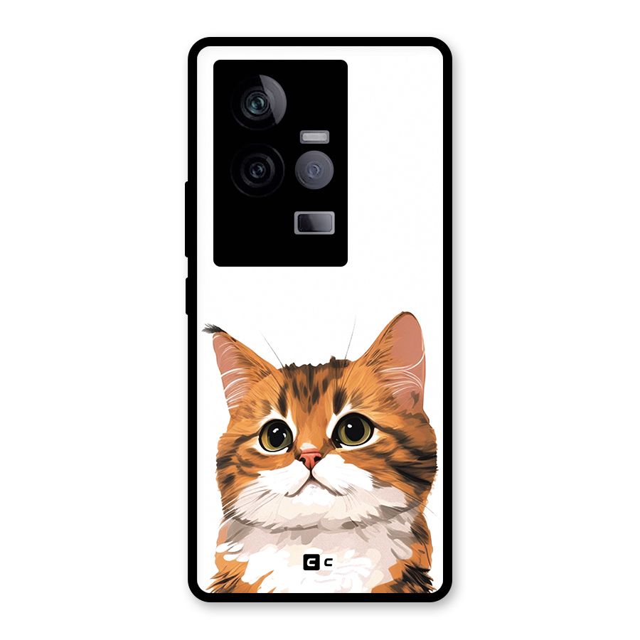 The Cute Cat Glass Back Case for Vivo iQOO 11 5G