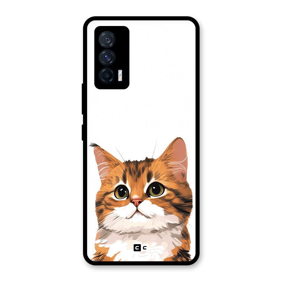 The Cute Cat Glass Back Case for Vivo iQOO 7 5G