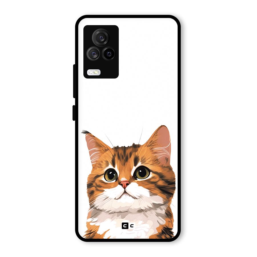 The Cute Cat Glass Back Case for Vivo iQOO 7 Legend 5G