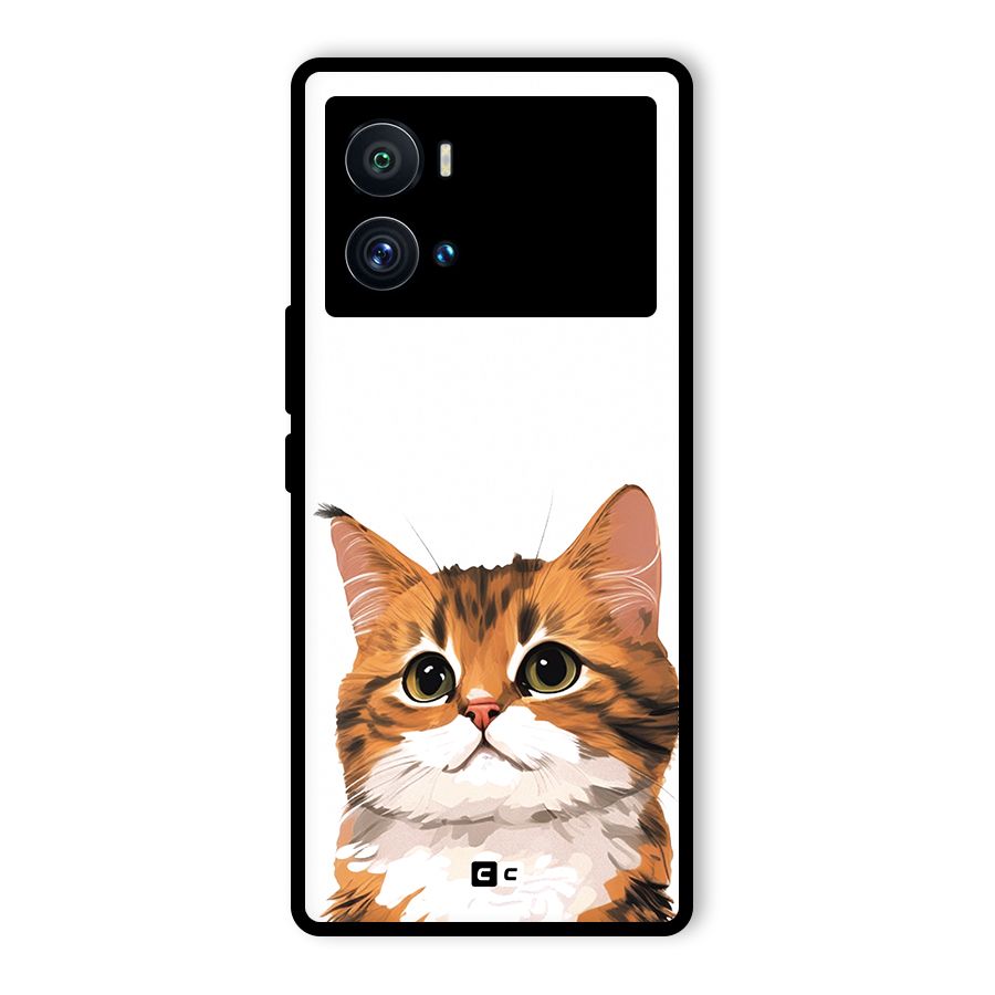The Cute Cat Glass Back Case for Vivo iQOO 9 Pro